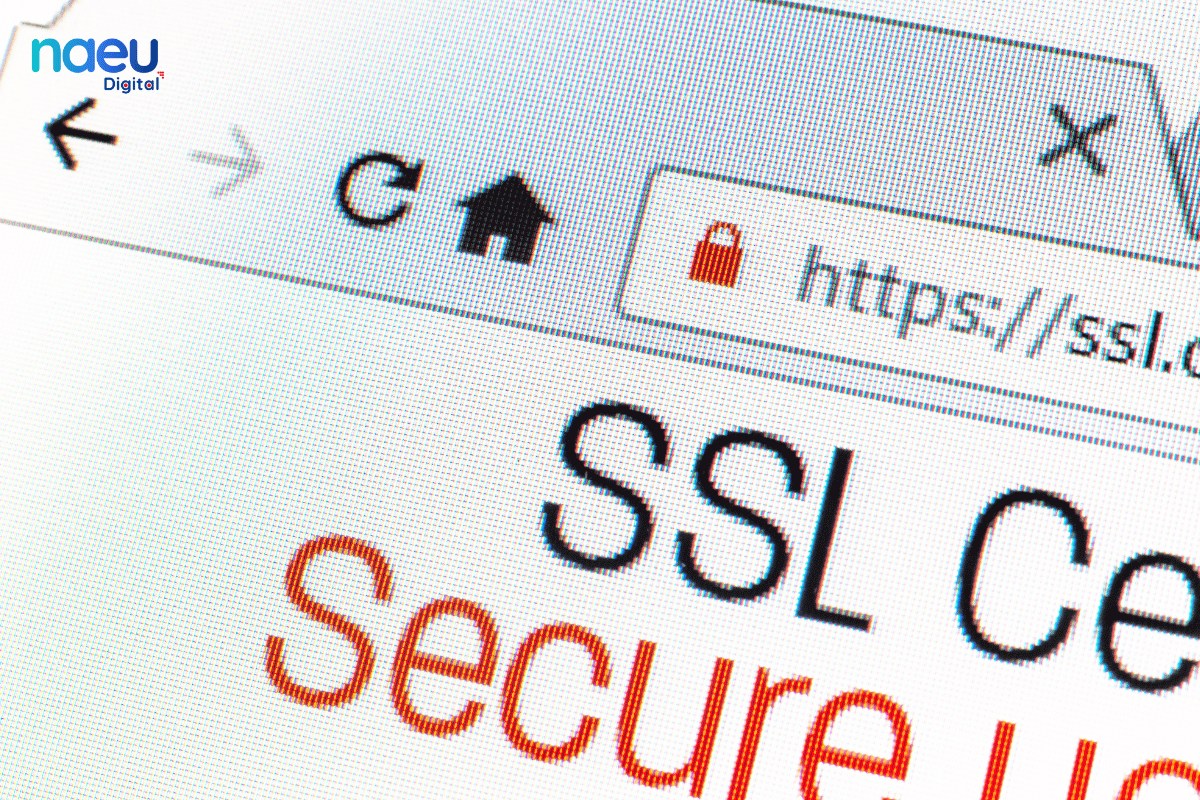 Các bước để khắc phục lỗi không có chứng chỉ bảo mật SSL trên website